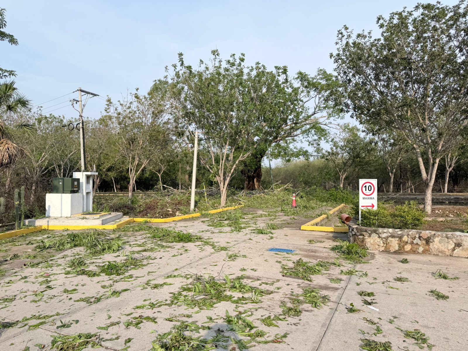 Gobierno de Oaxaca activa protocolo de atención tras tormenta registrada en San Francisco Ixhuatán
