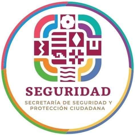 Detiene SSPC a persona por portación ilegal de arma de fuego en Magdalena Jaltepec