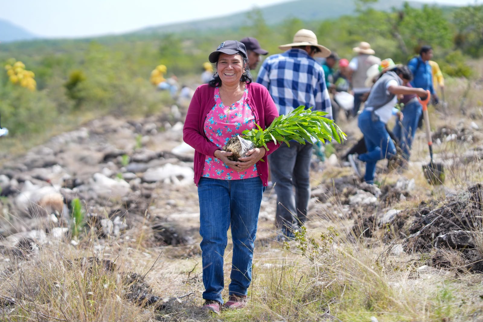 Siembra Oaxaca 12 mil plantas en Teotongo como parte de la Jornada Nacional de Reforestación 2026
