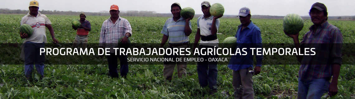 programa-trabajadores-agricolas-temporales