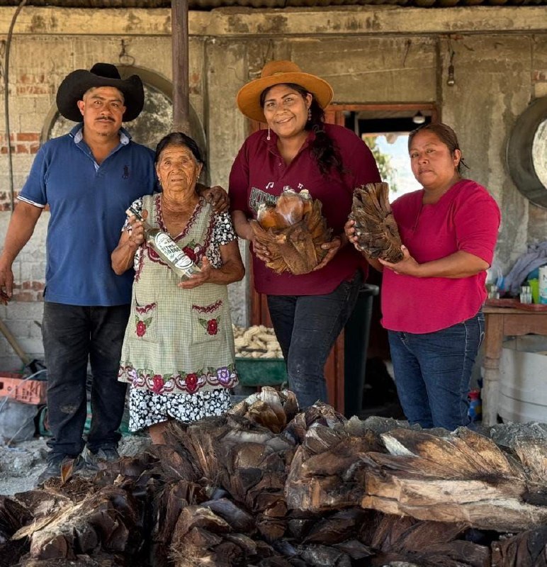 IMPULSA ICAPET CURSOS DE CAPACITACIÓN PARA GENERAR EMPLEOS Y AUTOEMPLEOS FORMALES EN LA INDUSTRIA MEZCALERA.
