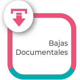 Bajas Documentales