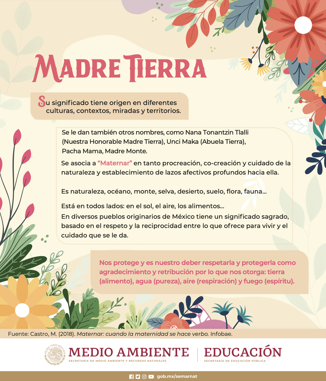 infografia-_Madre_Tierra_ 2