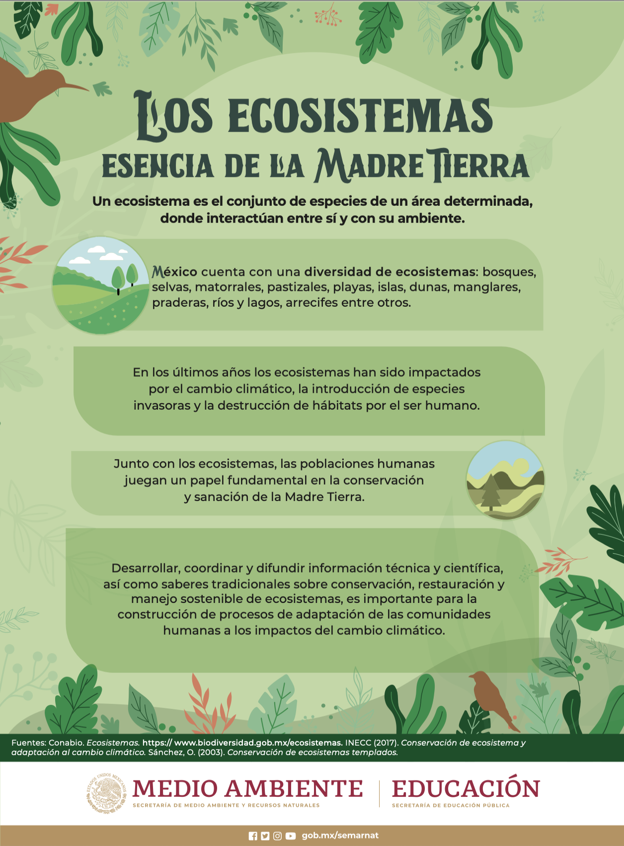 infografia_Madre_Tierra_ 1