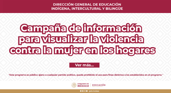 Campaña de información para visualizar la violencia contra la mujer en los hogares 2024