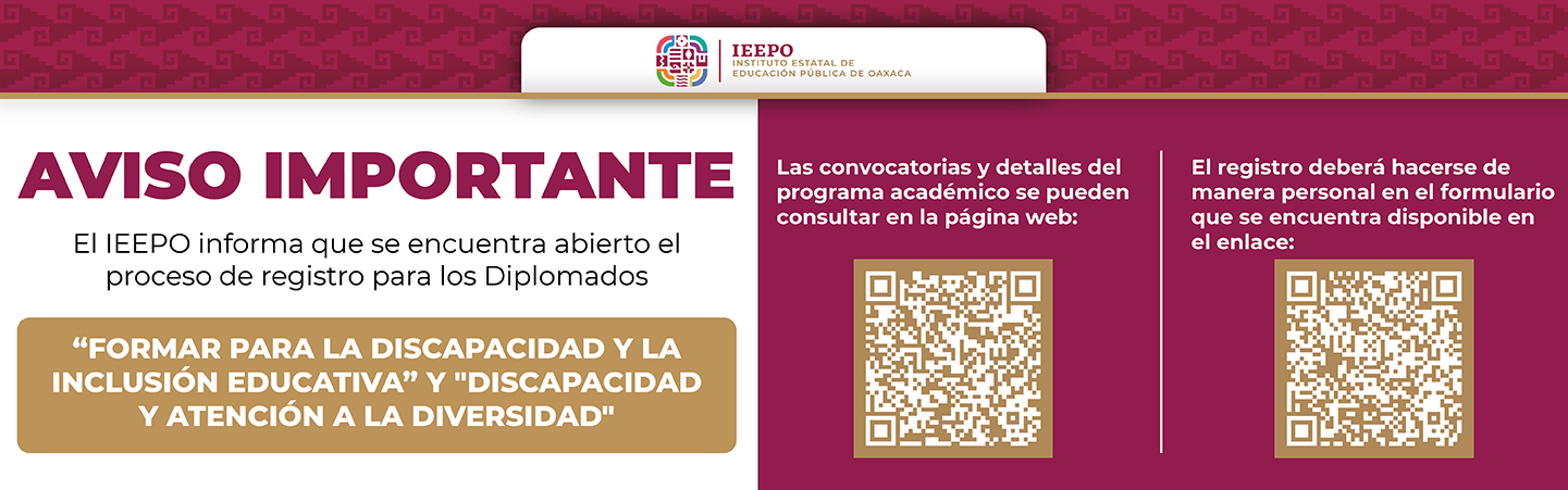 Diplomados Educación Especial “Formar para la discapacidad y la inclusión educativa” y “Discapacidad y atención a la diversidad”