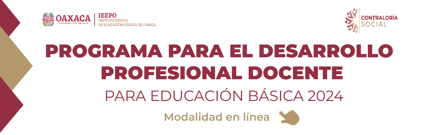 PROGRAMA PARA EL DESARROLLO PROFESIONAL DOCENTE