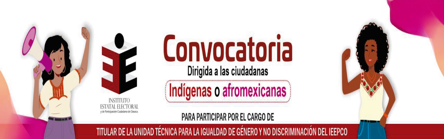 Titular de la Unidad Técnica para la Igualdad de Género y No Discriminación del Instituto Estatal Electoral y de Participación Ciudadana de Oaxaca