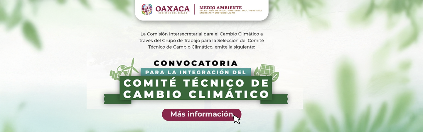 2a Convocatoria para la Integración del Comité Técnico de Cambio Climático