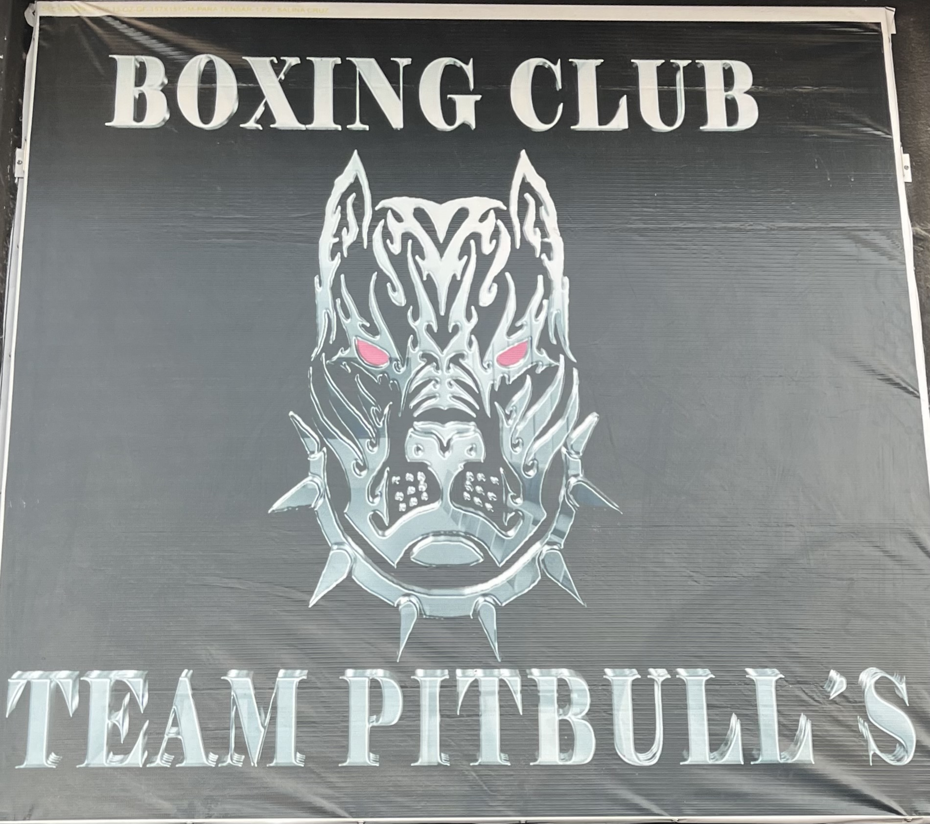 Gym pitbulls, boxeo Olímpico