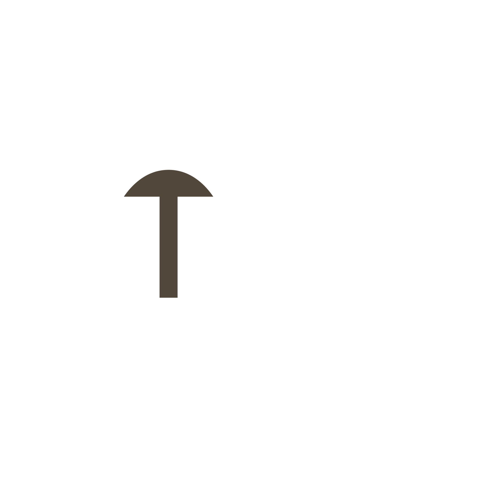 RESTAURANTE ITOO- ECO RESORT BENZAA