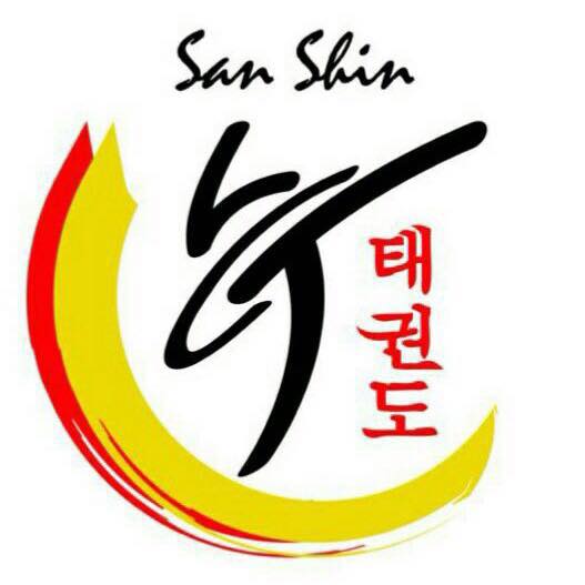 San Shin Taekwondo Artistas Marciales