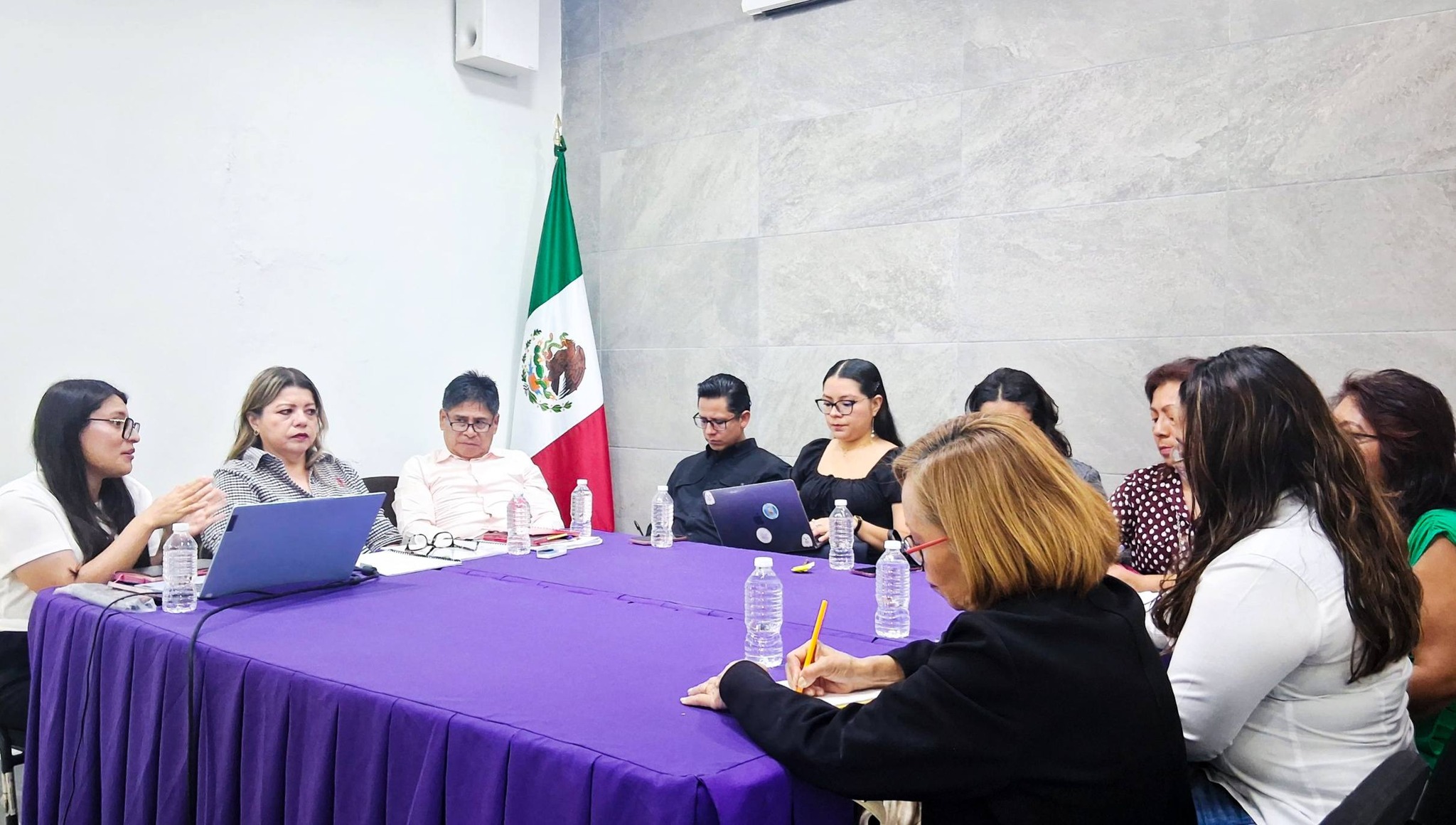 Asesoría a los Órganos Internos de Control del Congreso del Poder Legislativo y la CEAMO