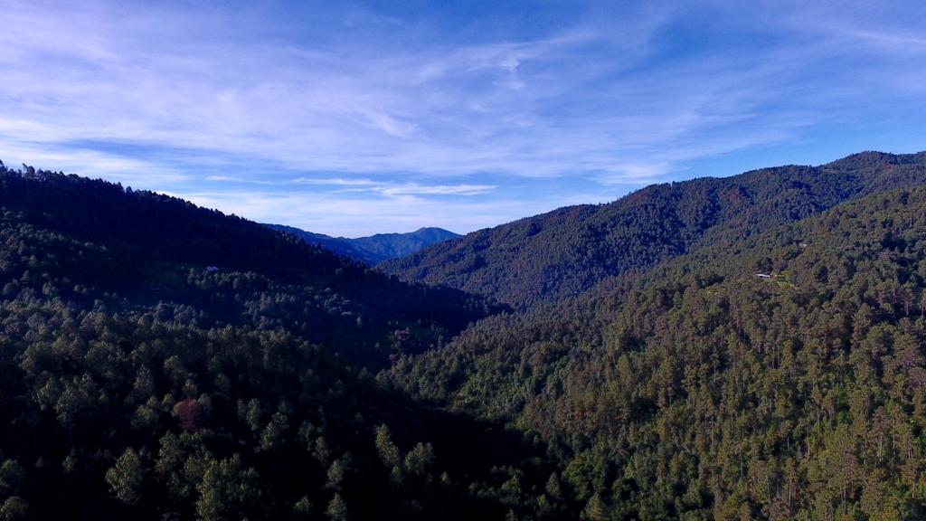 Oaxaca, sede de la Reunión Regional de Gobernadores sobre Clima y Bosque