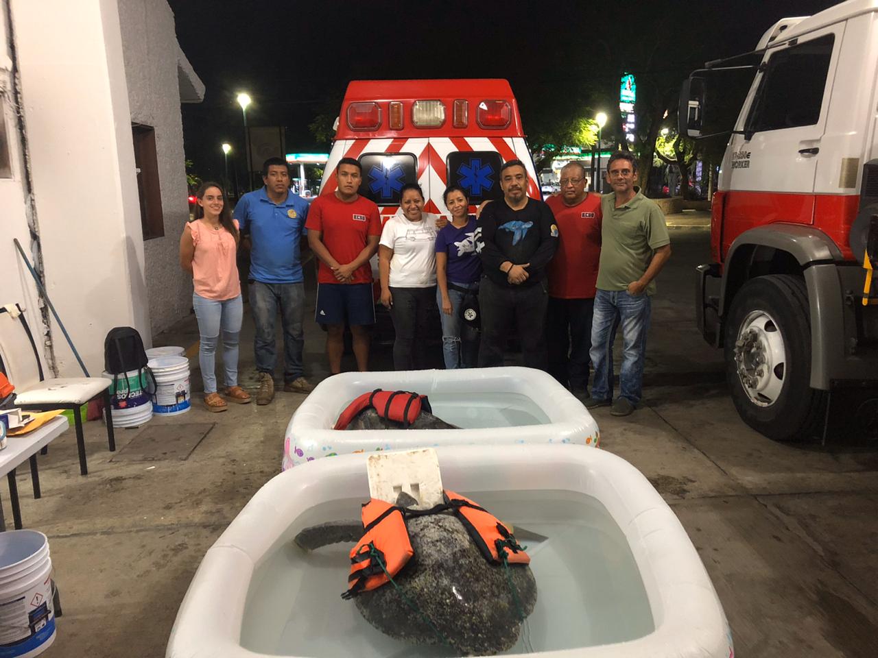 Funge Subestación de Bomberos en Huatulco como refugio de tortugas marinas