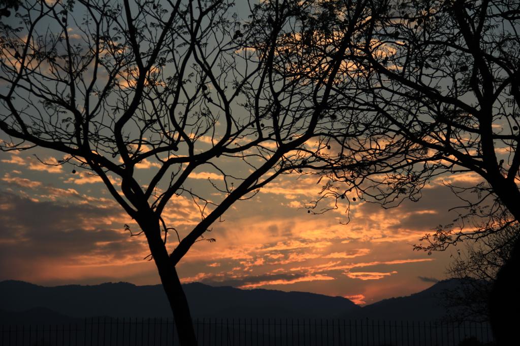 Celebra Oaxaca el Día de la Riqueza Natural