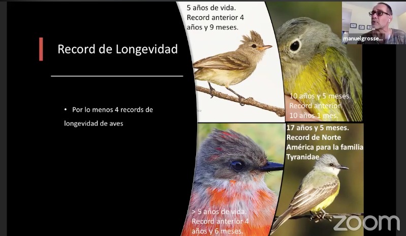 Oaxaca, sitio privilegiado para el monitoreo y estudio de aves: Semaedeso