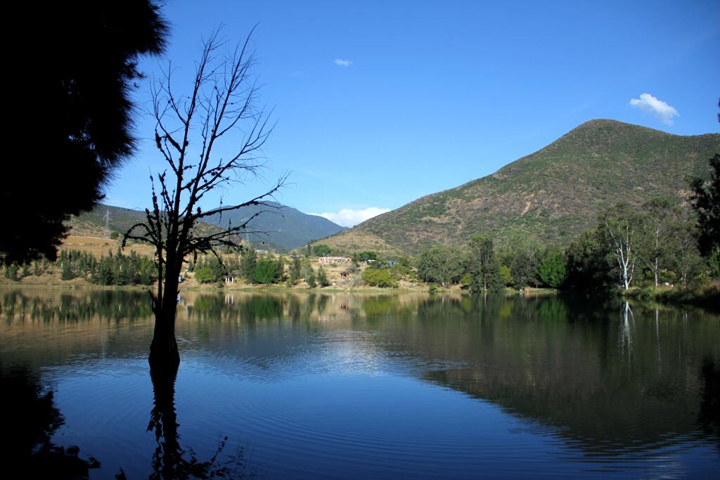Impulsa Oaxaca nueva estrategia en contra del Cambio Climático
