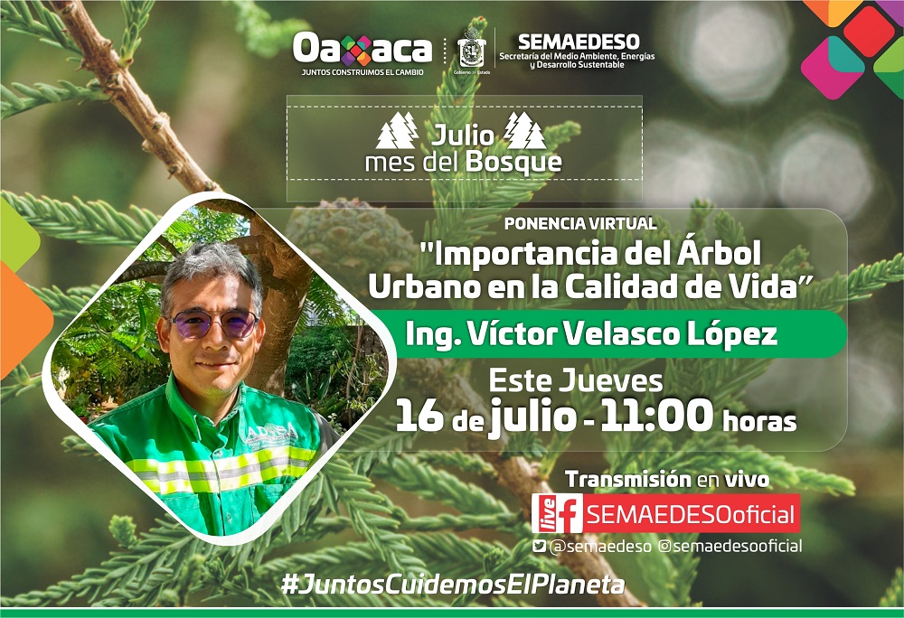 El Arbolado Urbano, indispensable proveedor de beneficios para la salud de la población