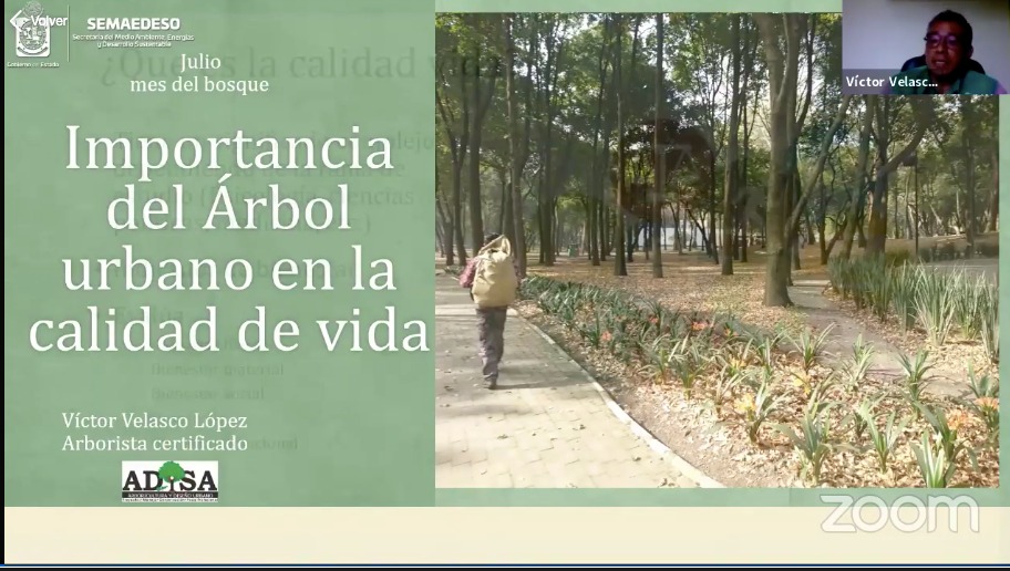 Indispensable la revalorización del arbolado urbano para la salud humana: Ing. Víctor Velasco