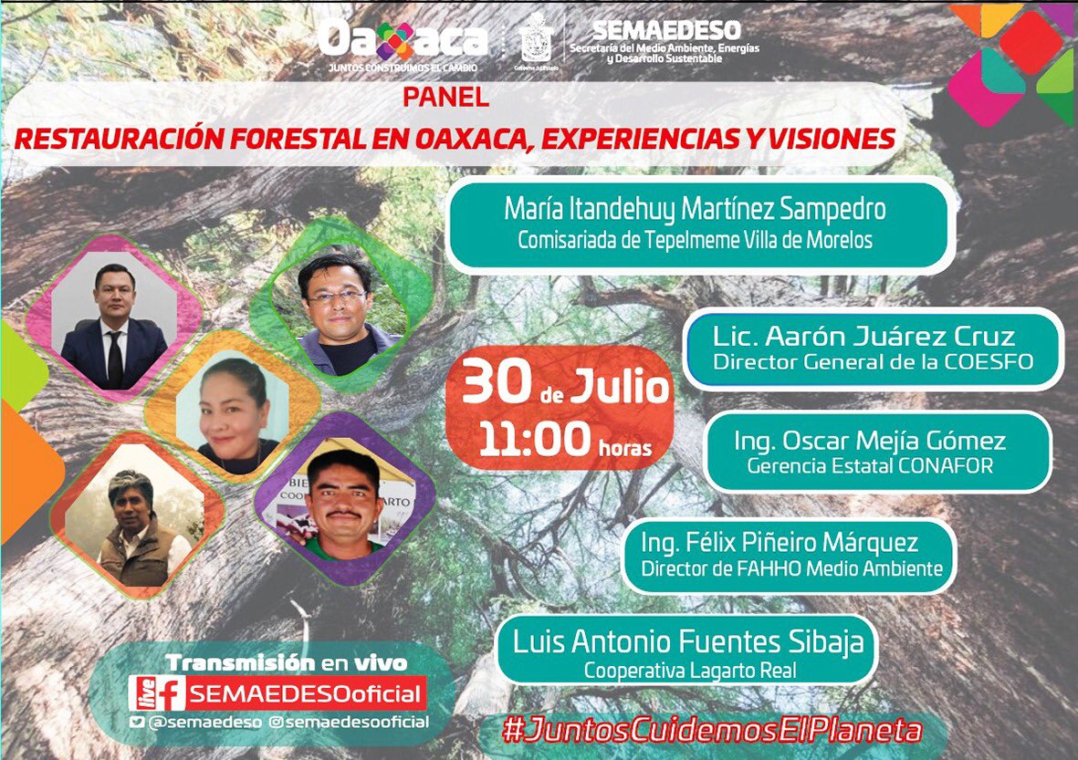 Difundirá Semaedeso experiencias sobre restauración forestal en Oaxaca