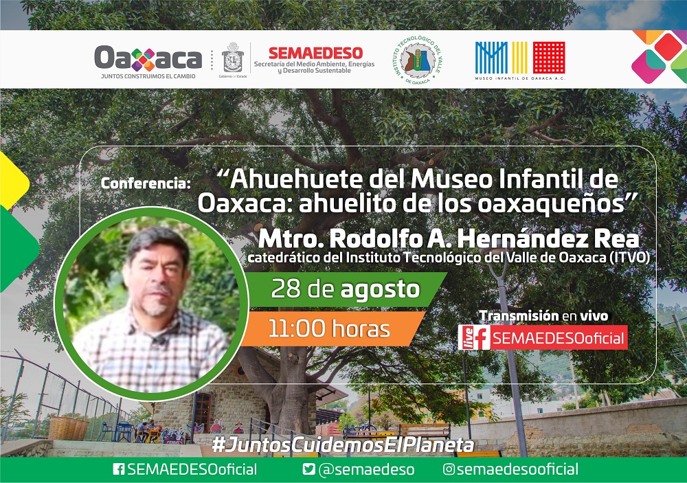 Invita Semaedeso a conferencia sobre el árbol de la Antigua Estación del Ferrocarril