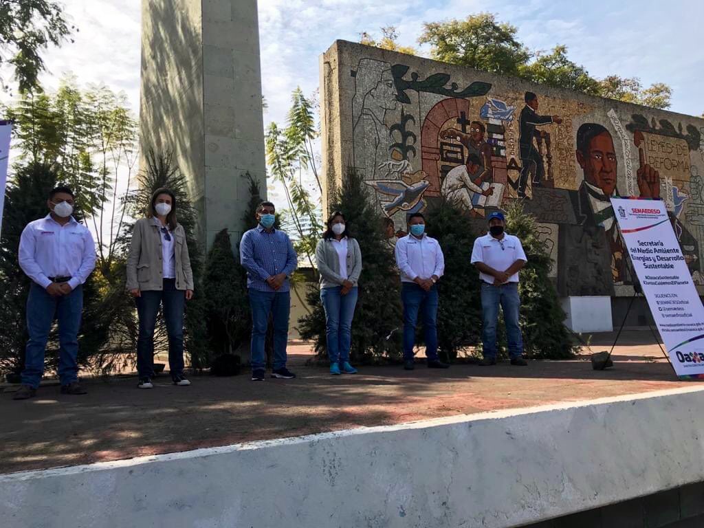 Recibe Semaedeso favorable respuesta de la sociedad en acopio de árboles de navidad naturales