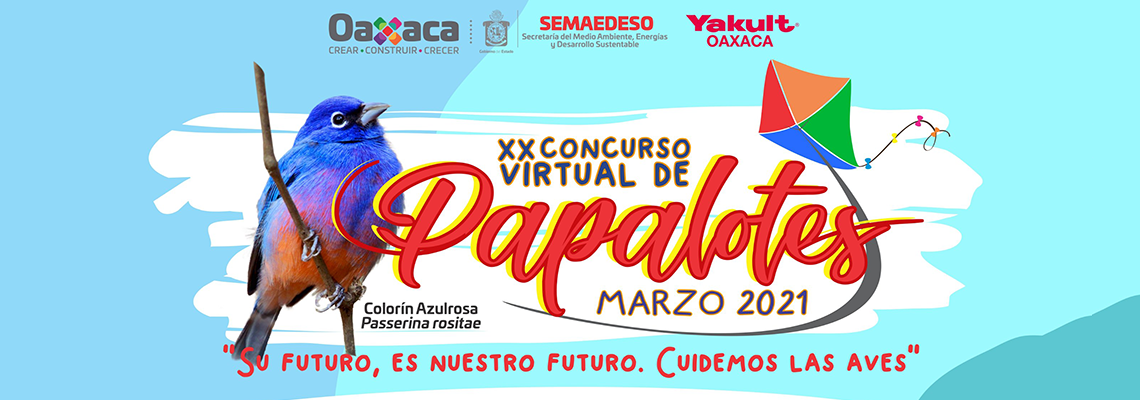 Niñas y niños de Oaxaca volarán su imaginación en el concurso de papalotes de la Semaedeso