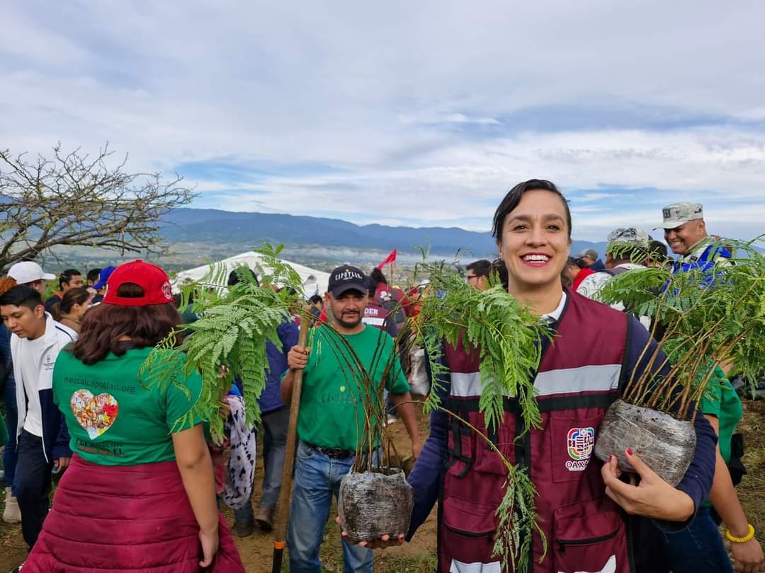 Integramos acciones de reforestación en polígono de Monte Albán.
