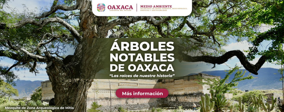 Árboles Notables