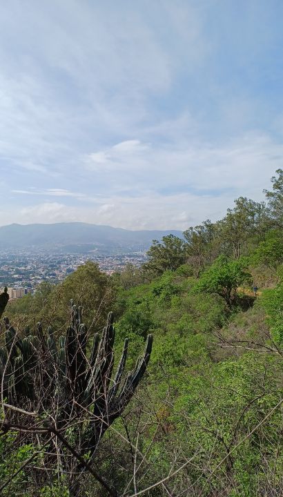 Imagen de la zona