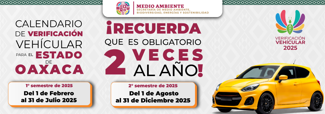 Verificación Vehícular