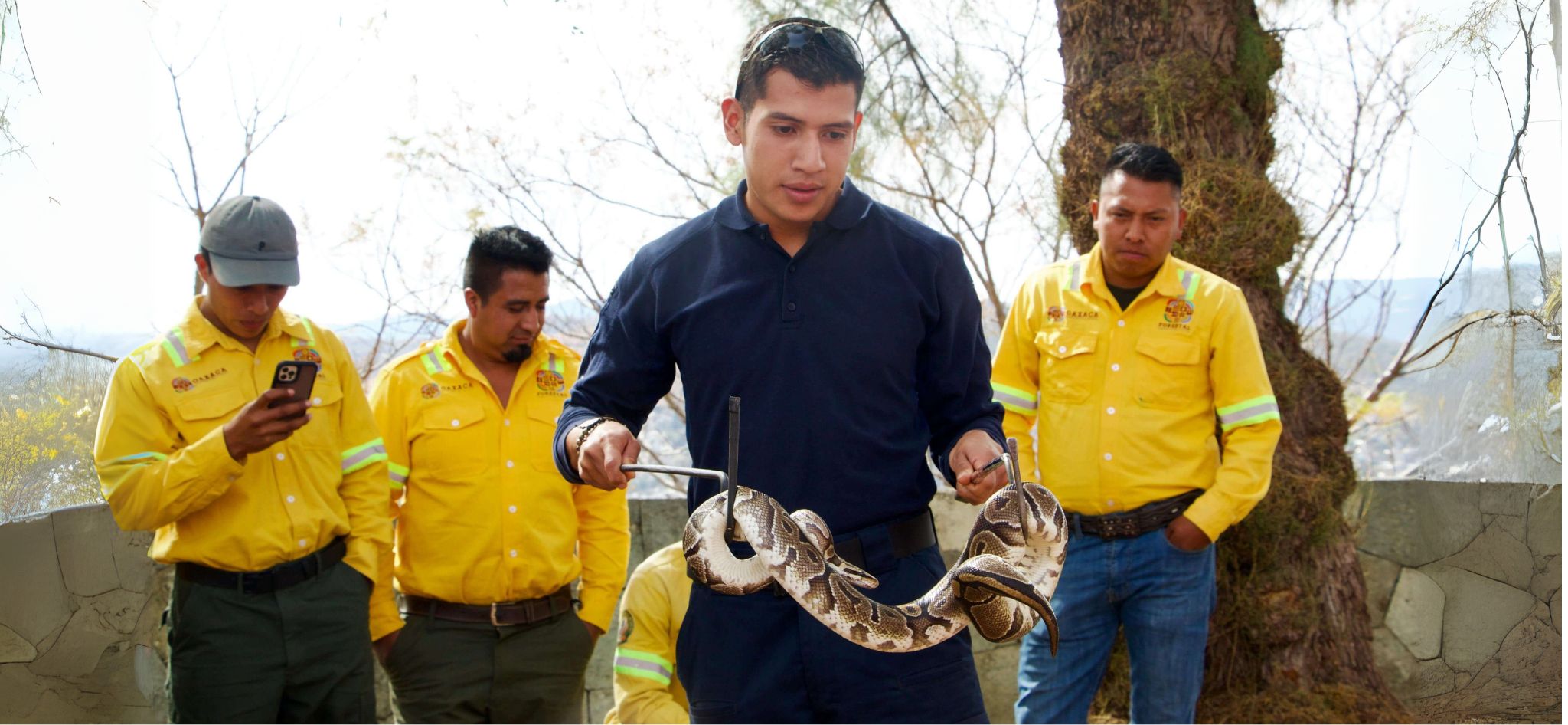 Imagen 4