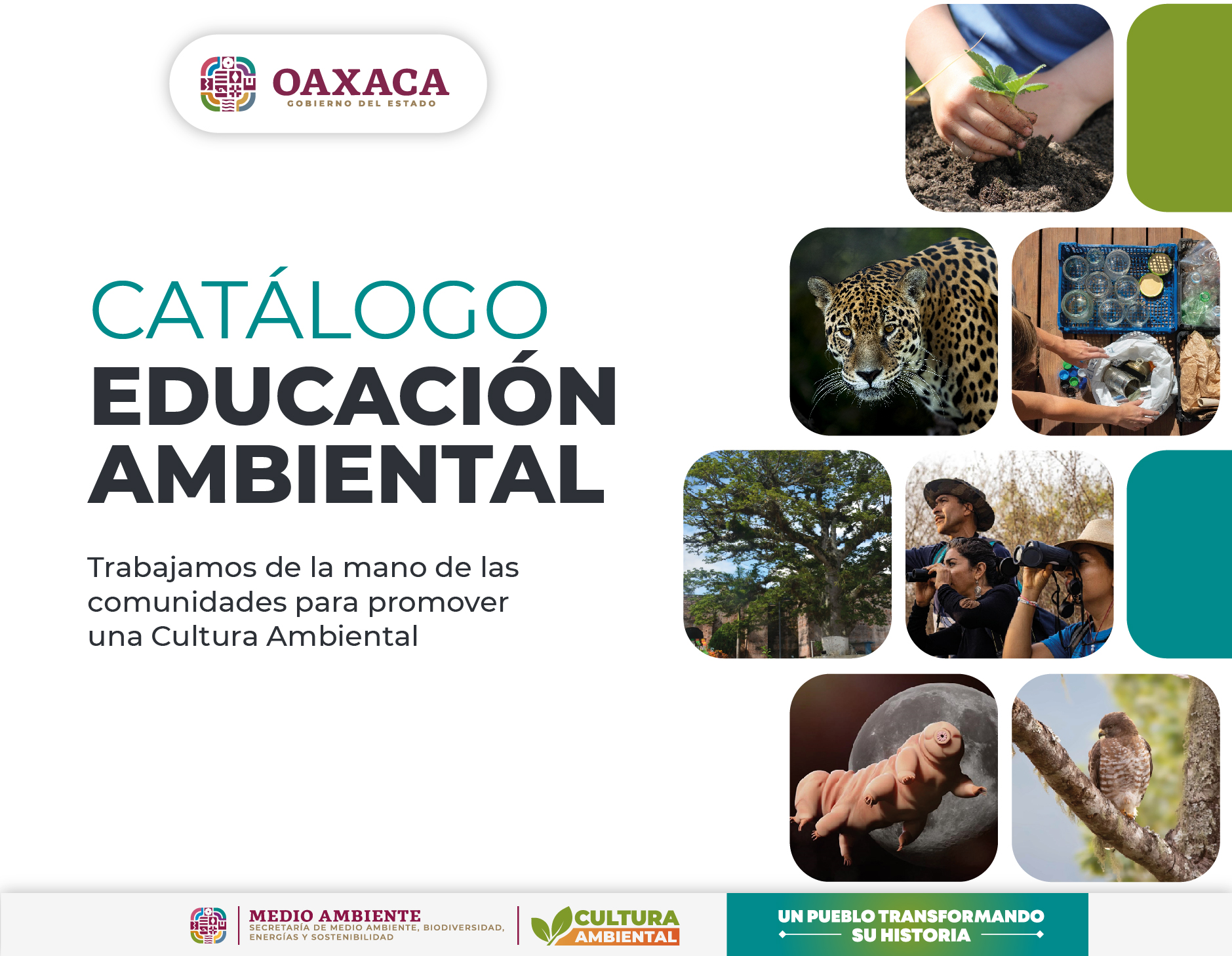 Catálogo de Educación Ambiental