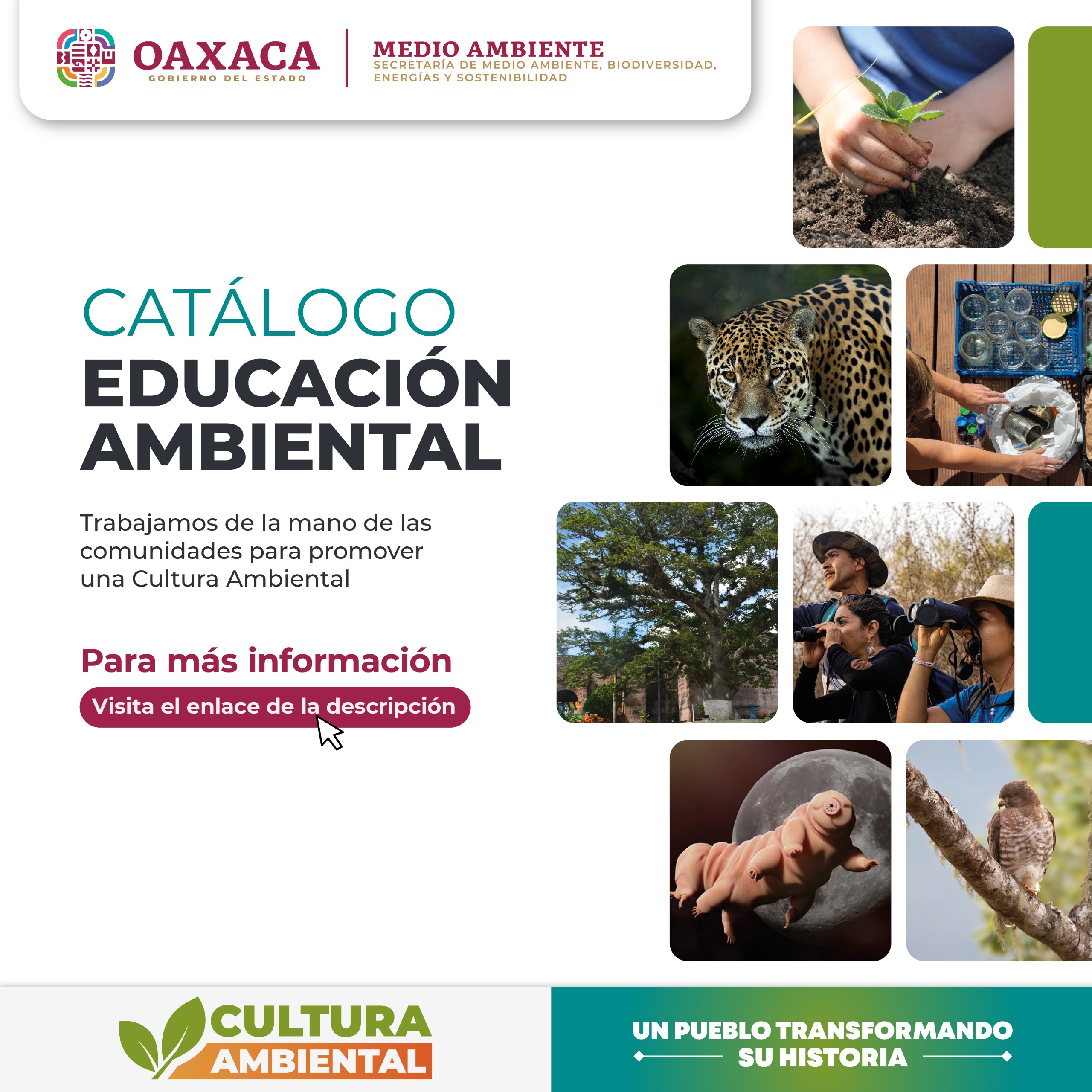 OFERTA GOBIERNO DEL ESTADO CURSOS PARA FOMENTAR LA EDUCACIÓN AMBIENTAL