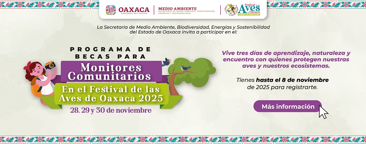 PROGRAMA DE BECAS PARA MONITORES COMUNITARIOS