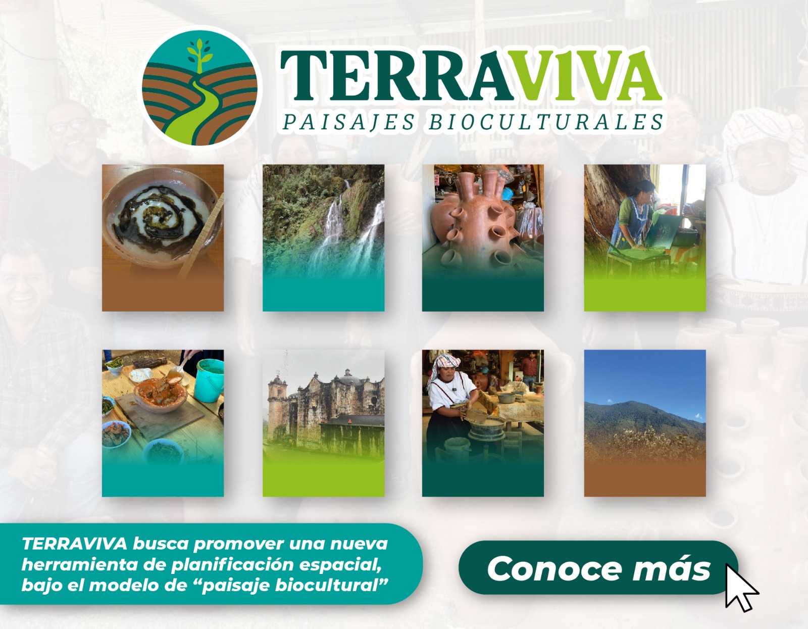 TERRAVIVA