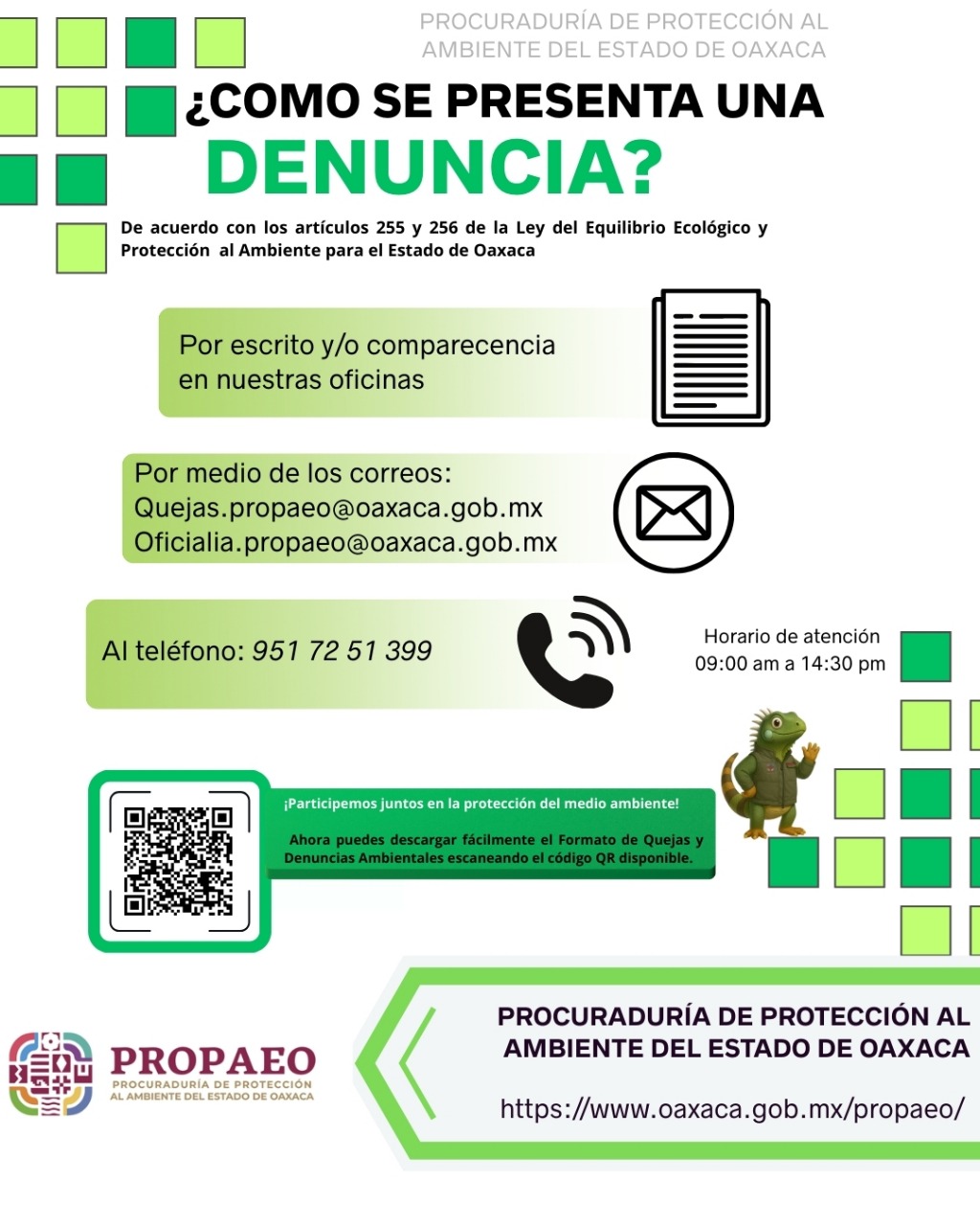 ¿COMO SE PRESENTA UNA DENUNCIA?