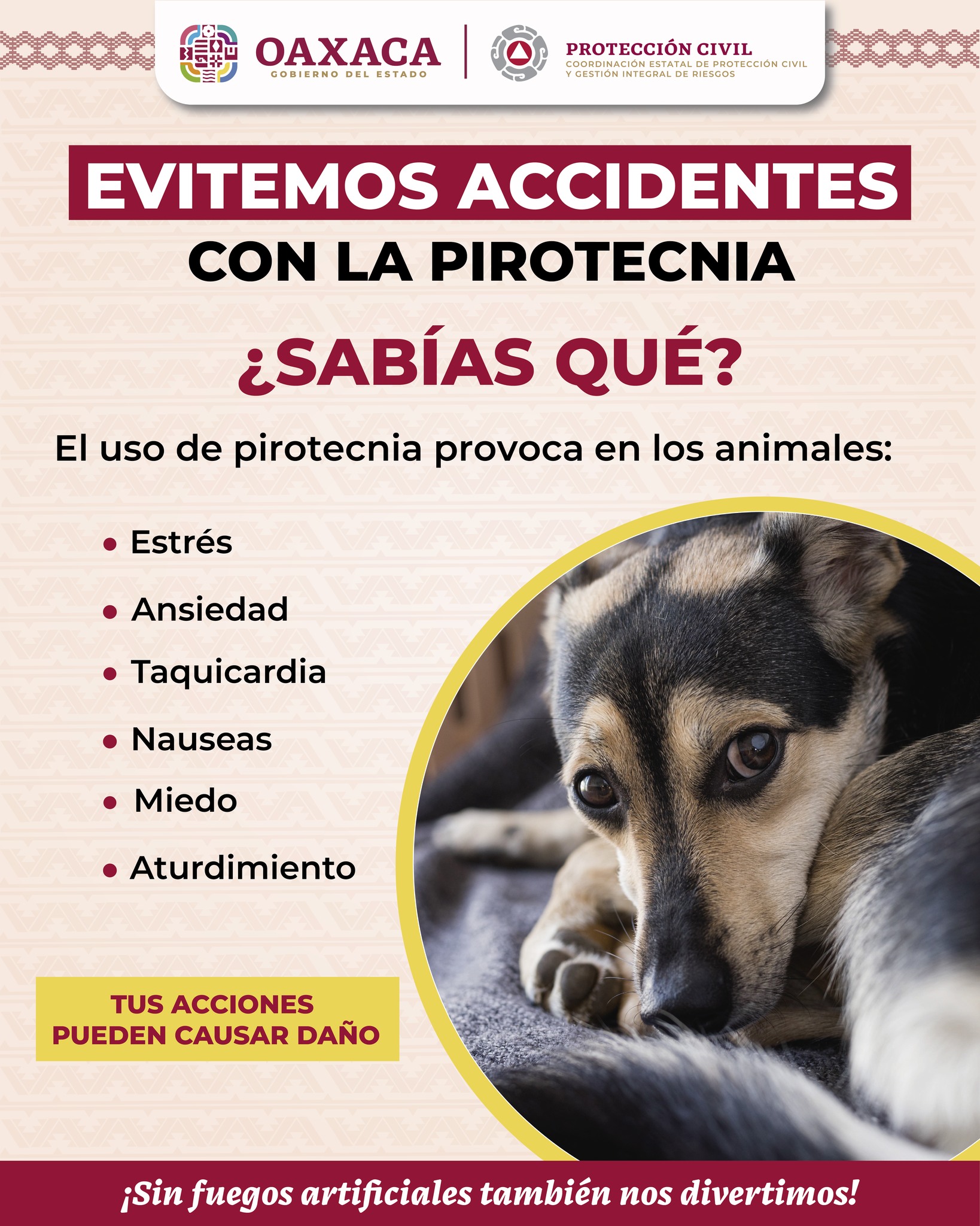 RECOMENDACIÓN 