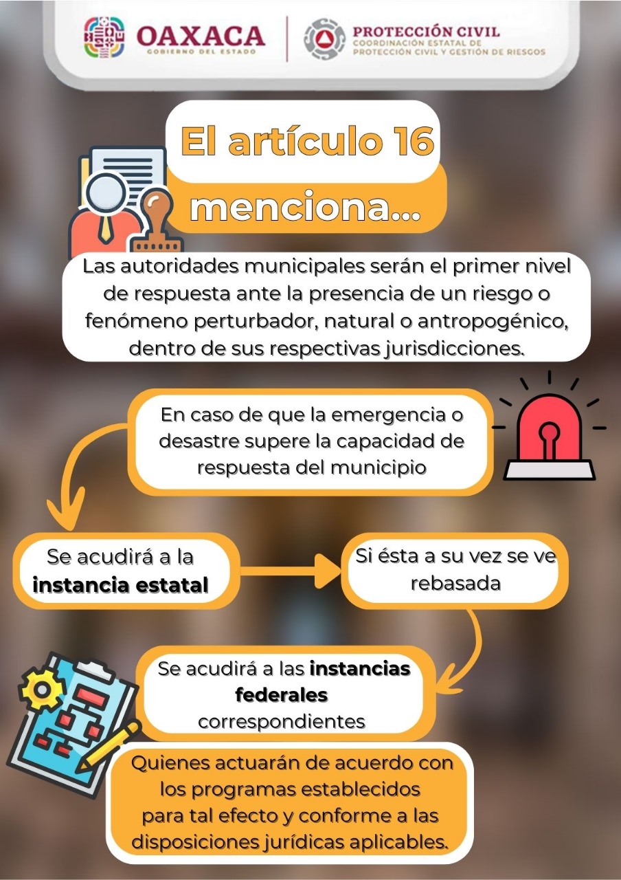 CONSEJOS