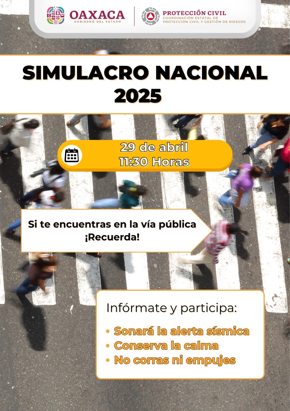 SIMULACRO
