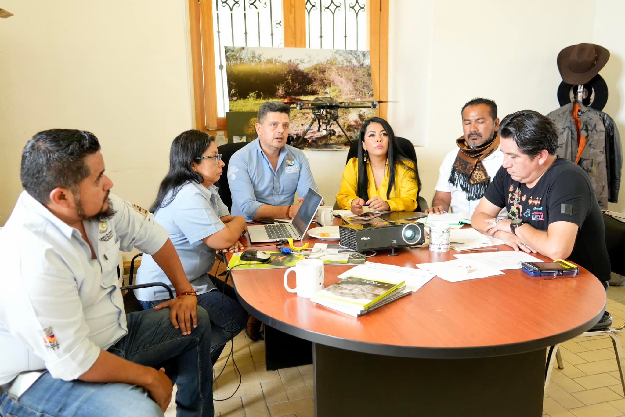 Dictaminación técnica y económica para acceder a los recursos autorizados del Parque Nacional Benito Juárez, el Monumento Natural Yagúl y el Área de Protección de Flora y Fauna Boquerón de Tonalá