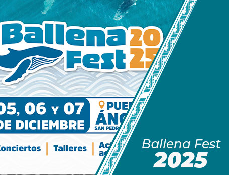 Ballena Fest 2025