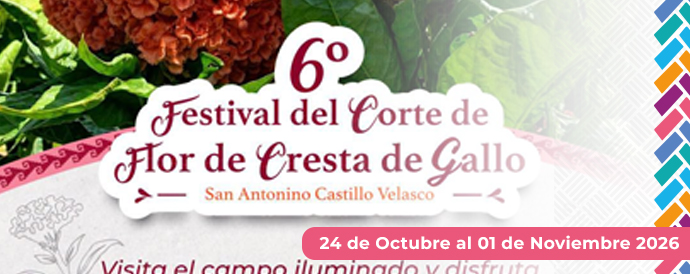 6º Festival del Corte de Flor de Cresta de Gallo