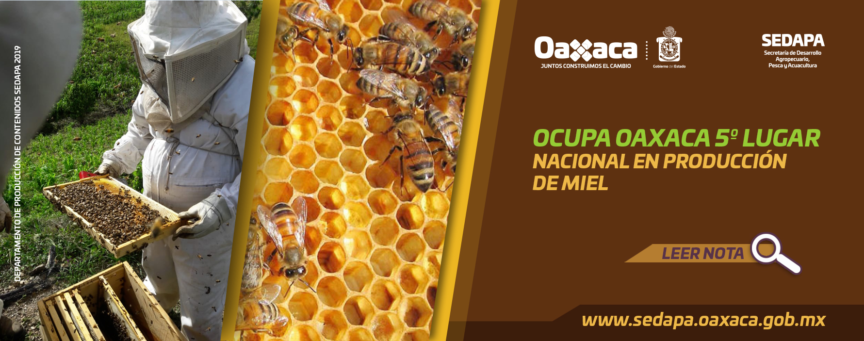 Oaxaca 5º Lugar a Nivel Nacional en Producción de Miel. Oaxaca 5º Lugar a Nivel Nacional en Producción de Miel.