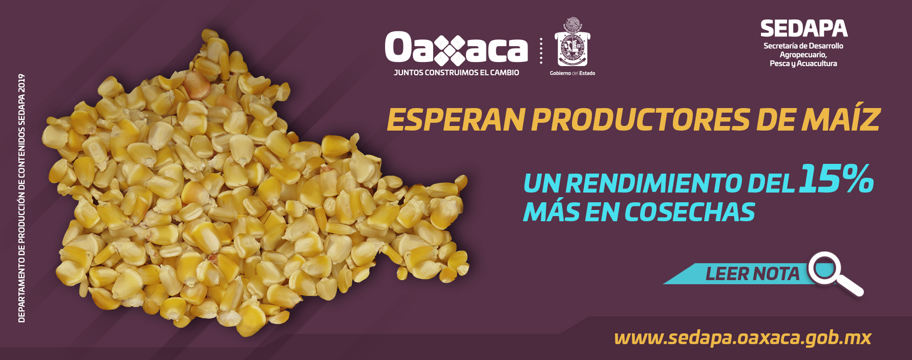 Esperan Productores de Maíz un Rendimiento del 15% más en Cosechas Esperan Productores de Maíz un Rendimiento del 15% más en Cosechas