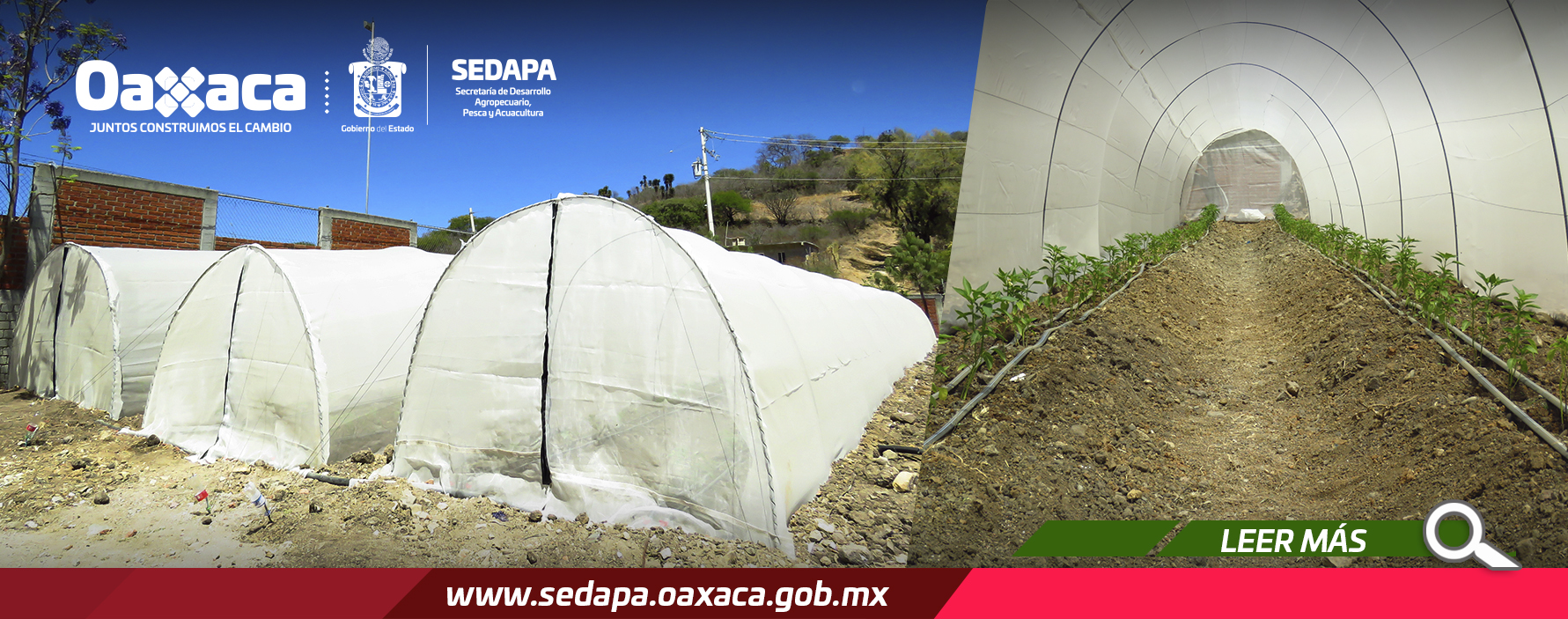 Fortalece Gobierno de Oaxaca actividades productivas de mujeres de San Bartolomé Quialana Fortalece Gobierno de Oaxaca actividades productivas de mujeres de San Bartolomé Quialana