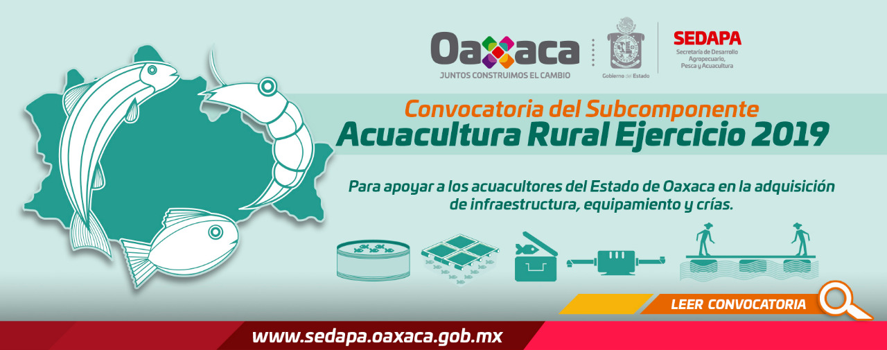 CONVOCATORIA DEL SUBCOMPONENTE ACUACULTURA RURAL 2019 CONVOCATORIA DEL SUBCOMPONENTE ACUACULTURA RURAL 2019
