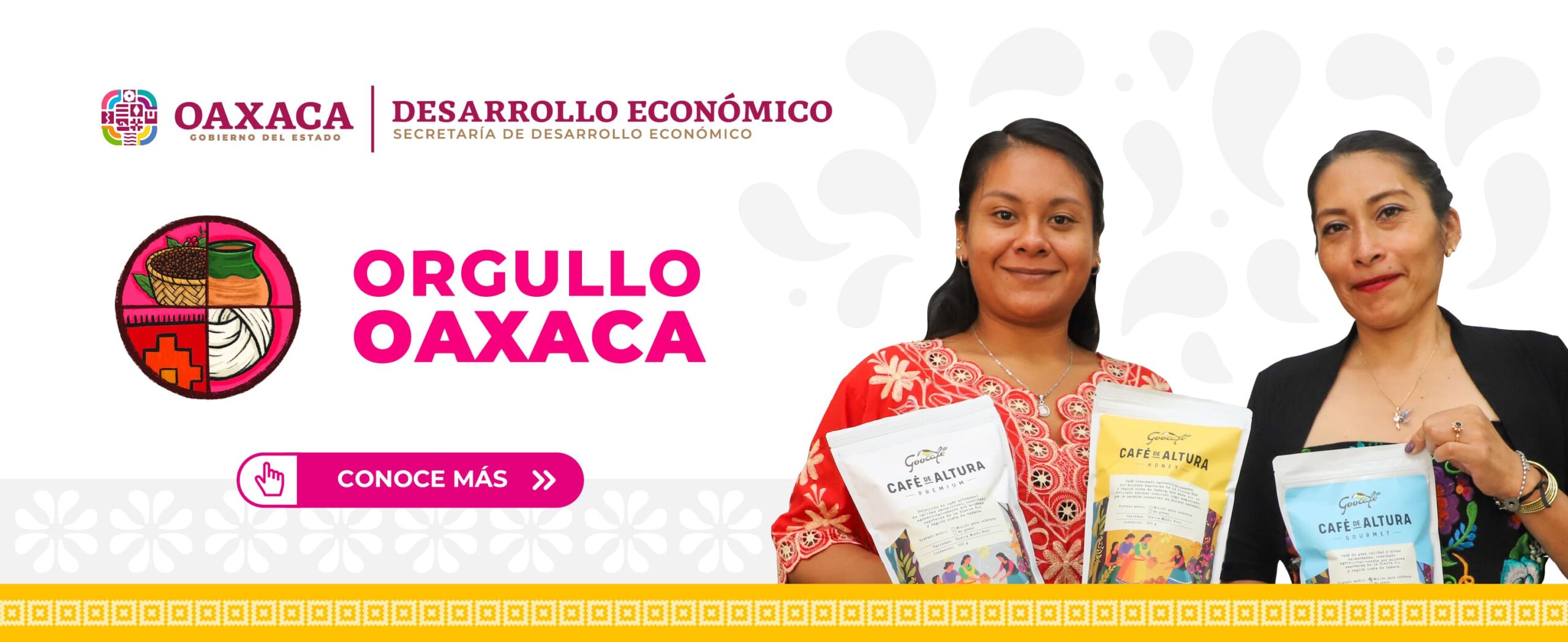 banner orgullo oaxaca
