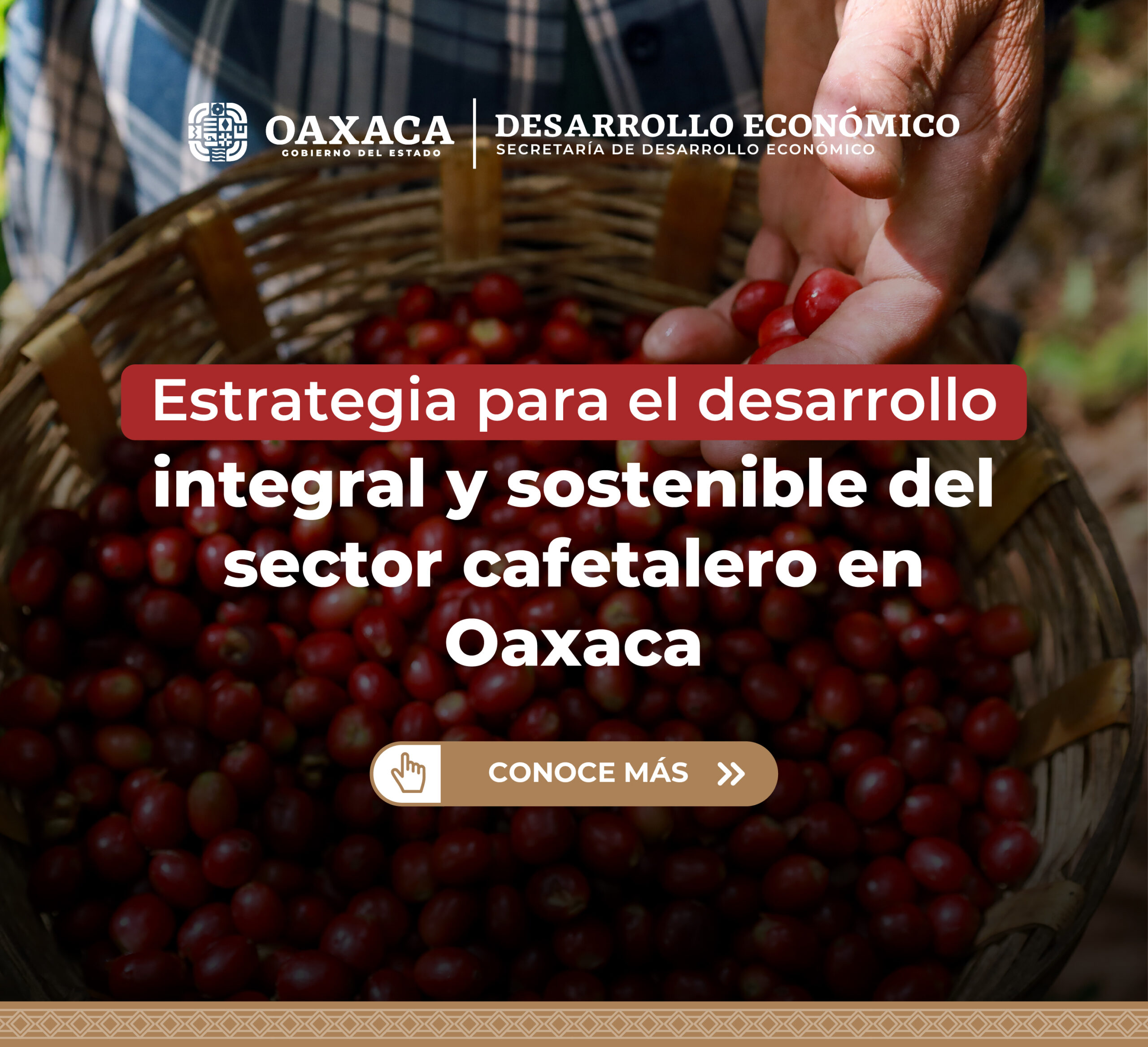 Banner «Estrategia para el desarrollo integral y sostenible del sector cafetalero en Oaxaca»